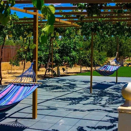 Moderna En Ambiente Rural, Agost וילה *