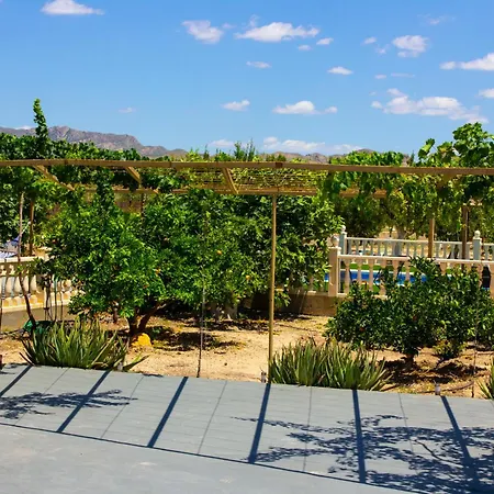 וילה Moderna En Ambiente Rural, Agost