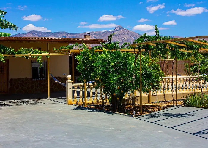 Moderna En Ambiente Rural, Agost