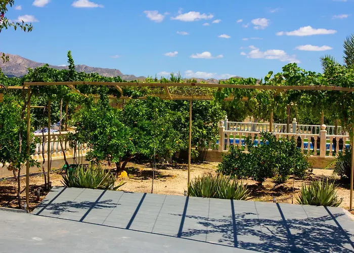 别墅 Moderna En Ambiente Rural, Agost