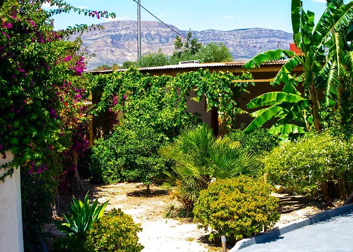 Moderna En Ambiente Rural, Agost 阿利坎特