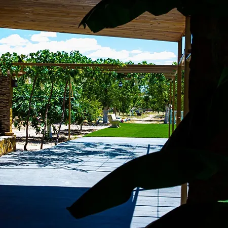 Villa Moderna En Ambiente Rural, Agost *
